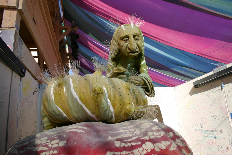 2005/BurningMan/800x600_IMG_1742.JPG
