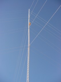 IMG_2255.JPG