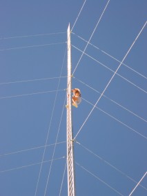 IMG_2256.JPG