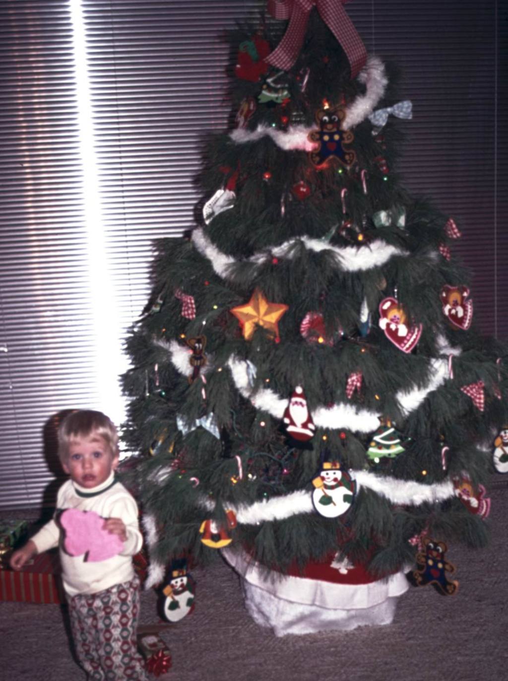 1970-1991-Jim-Janeen-first-20years/1024x768_1977-12-Christmas-2.JPG
