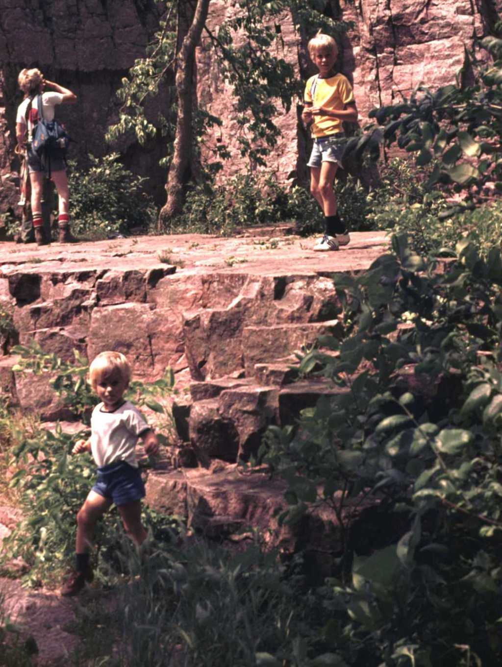 1979-06-2-Palisades.jpg