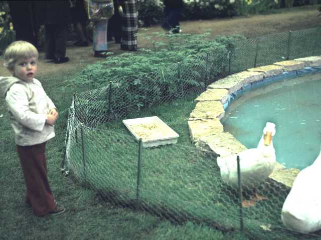 1978-04-1-Chicago-Flower-Show-.jpg