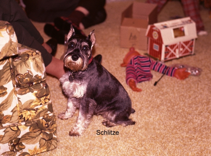 1974-12-Hildebrand-Christmas-05_p1.jpg