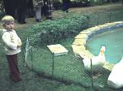 1978-04-1-Chicago-Flower-Show-.jpg