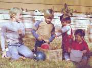 1982-11-2-Leaves-MV.jpg