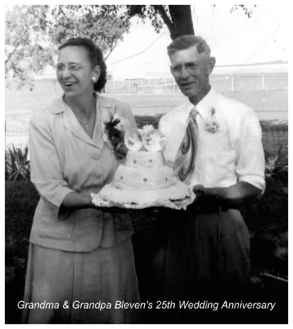 Janeen-Scott-Family-History/1024x768_1950-08-Blevens-25th-Anniversary.JPG