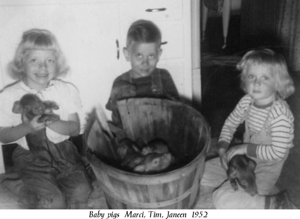 Janeen-Scott-Family-History/1024x768_1952-Baby-Pigs-M-T-J.jpg