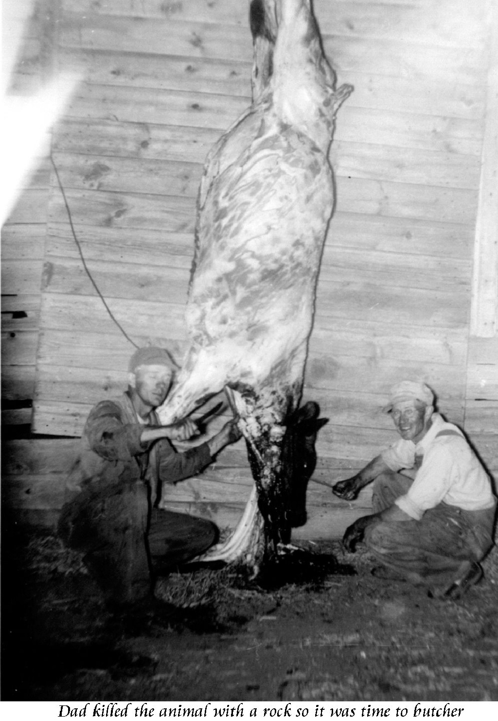 Janeen-Scott-Family-History/1024x768_1954-Albert-Clyde-butchering-steer.jpg
