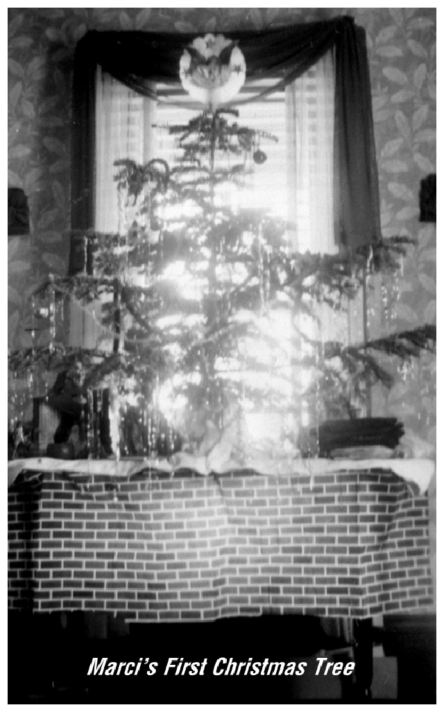 Janeen-Scott-Family-History/640x480_1946-12-Marcis-1st-ChristmasTree.JPG
