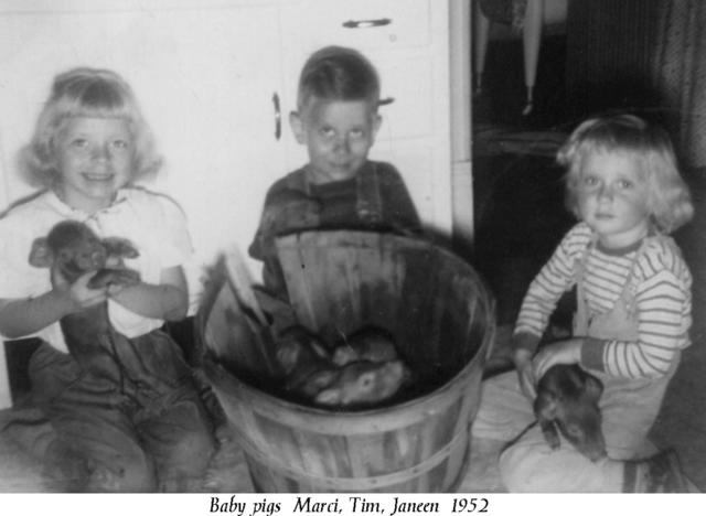1952-Baby-Pigs-M-T-J.jpg