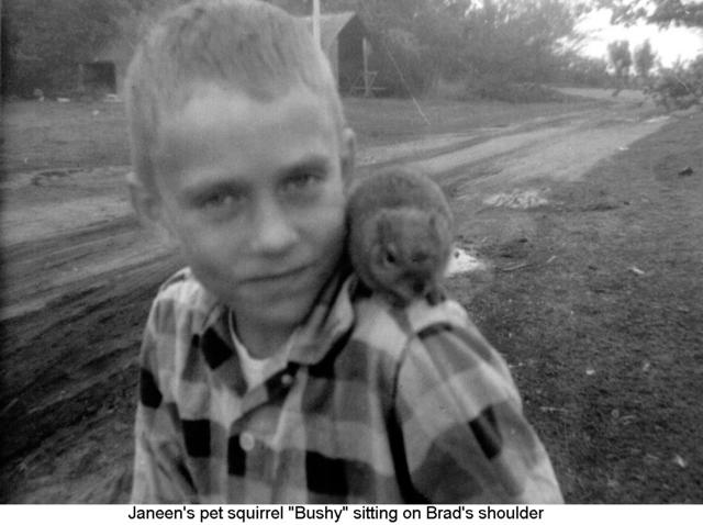Janeen-Scott-Family-History/640x480_1960-Pet-Squirrel-Bushy-Brad.jpg