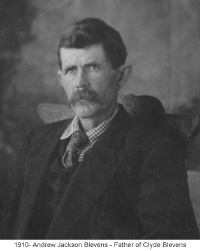 Janeen-Scott-Family-History/Mary-Helen-Blevens-Family-History/1910-Andrew-Jackson-Blevens.jpg
