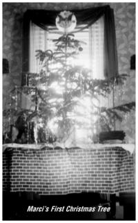 1946-12-Marcis-1st-ChristmasTree.JPG