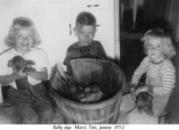 1952-Baby-Pigs-M-T-J.jpg