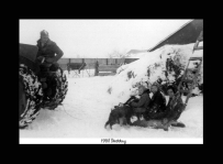1958-Snow-Sledding.jpg