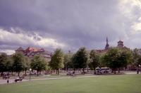 Golden_Angel_in_park.jpg