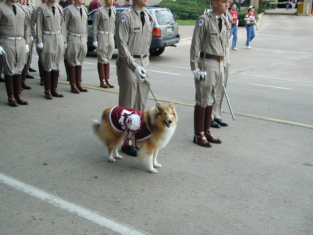 reveille.jpg