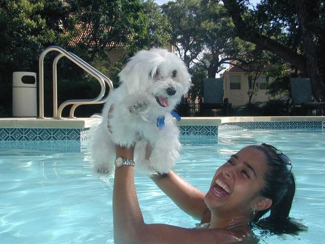2001/06(June)/At-the-Pool/640x480_P6100056.JPG