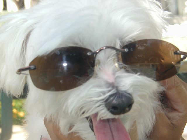 2001/06(June)/At-the-Pool/640x480_P6100060.JPG