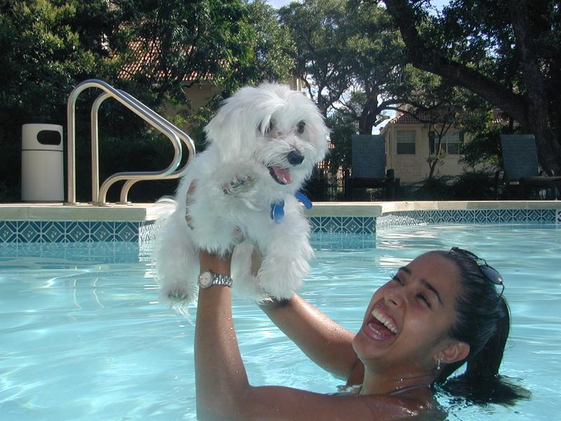 2001/06(June)/At-the-Pool/800x600_P6100056.JPG