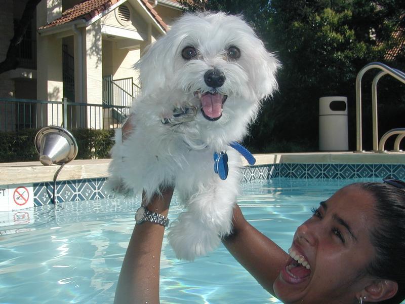 2001/06(June)/At-the-Pool/800x600_P6100057.JPG