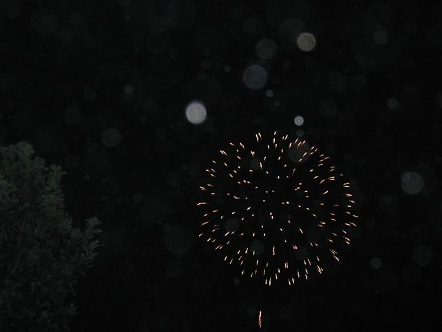 P7040063.JPG