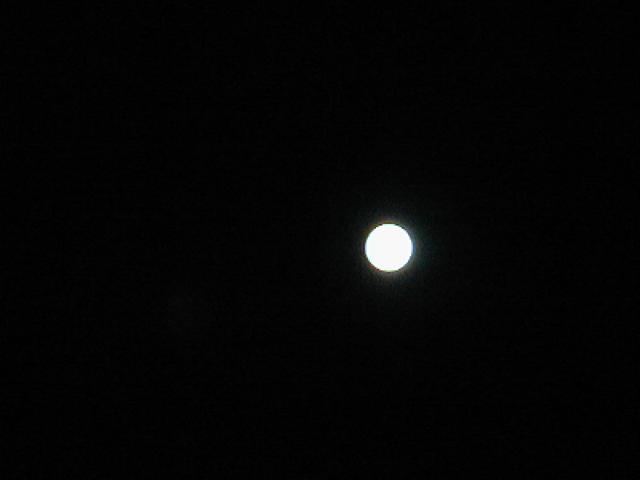 P7040083.JPG