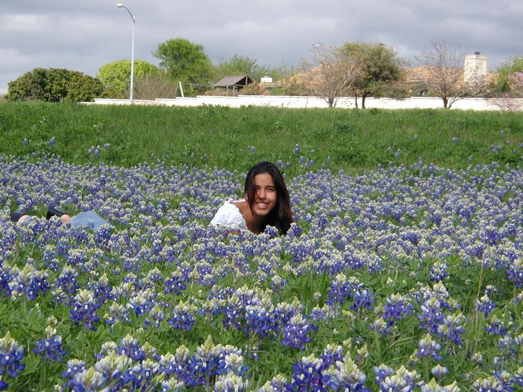 2002/03(March)/Bluebonnets/1024x768_P3310013.JPG
