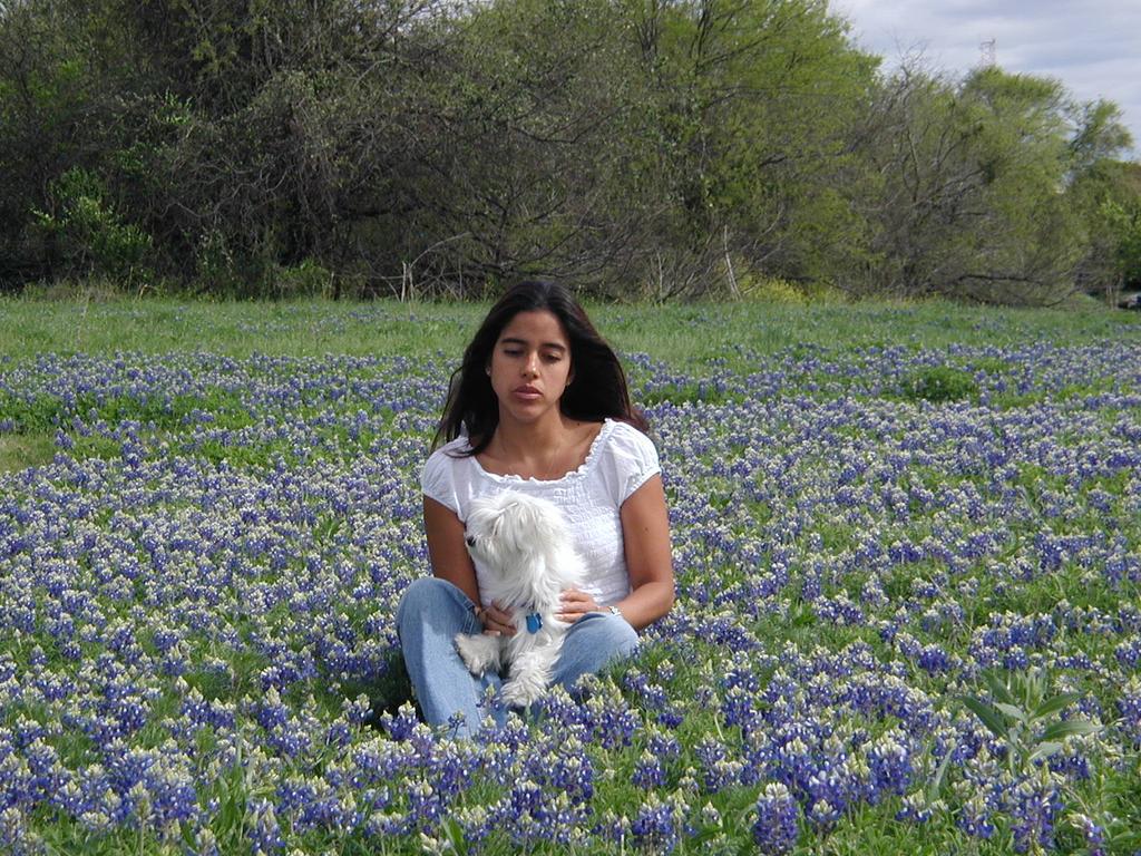 2002/03(March)/Bluebonnets/1024x768_P3310021.JPG