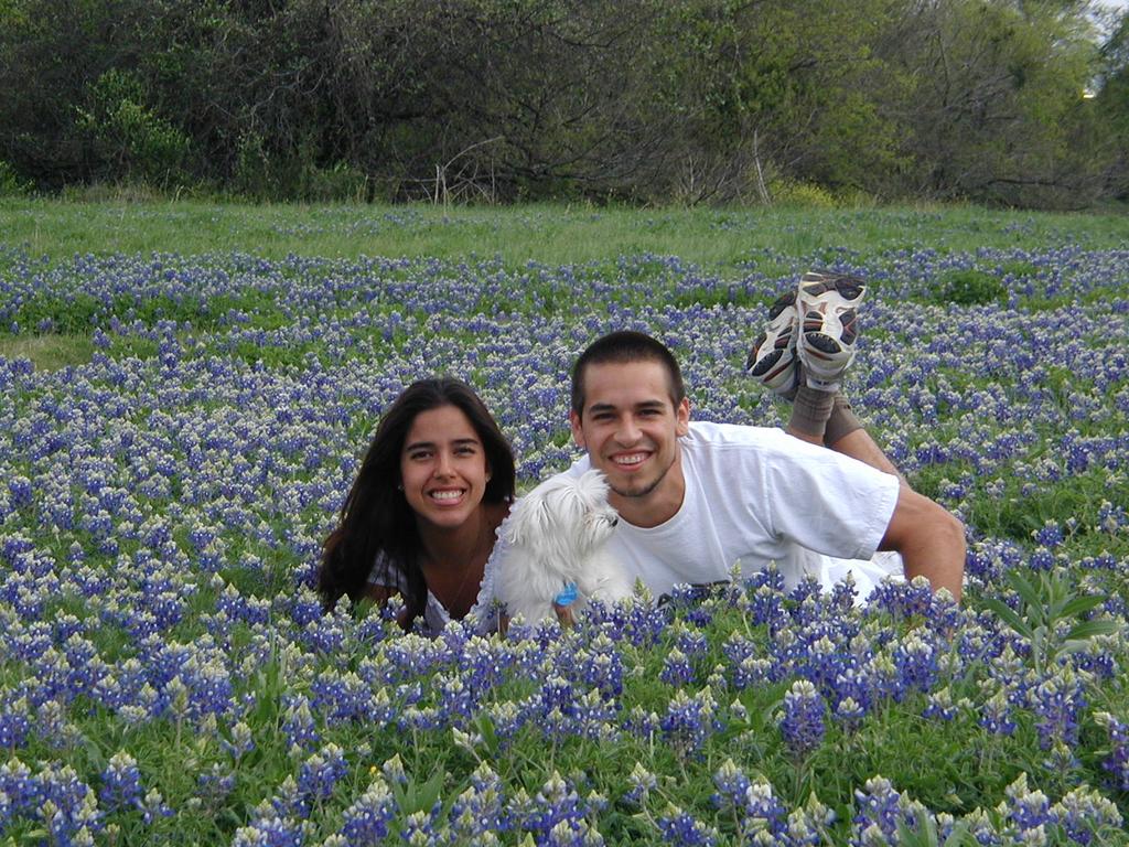2002/03(March)/Bluebonnets/1024x768_P3310024.JPG