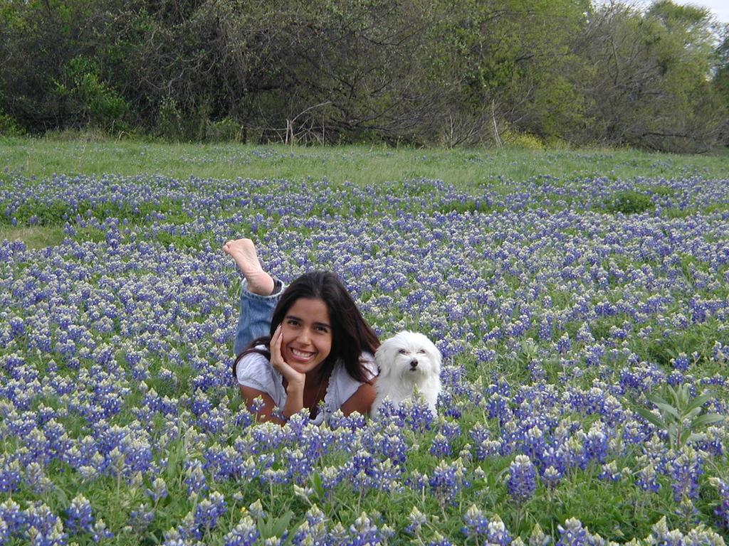 2002/03(March)/Bluebonnets/1024x768_P3310025.JPG