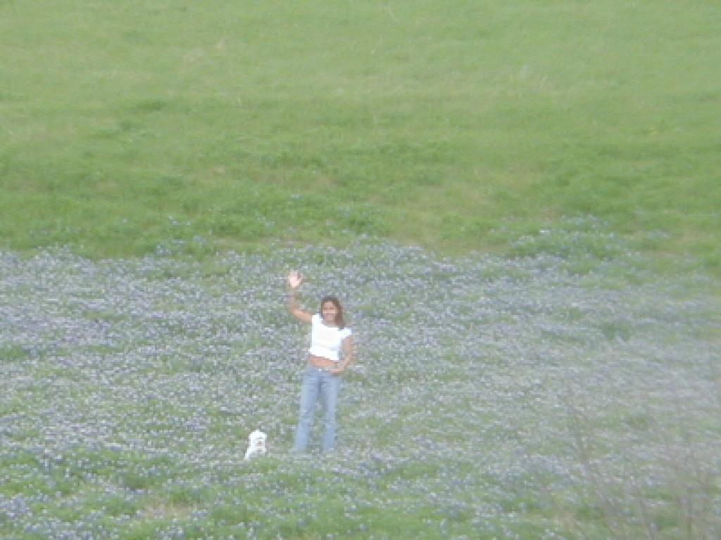2002/03(March)/Bluebonnets/1024x768_P3310035.JPG