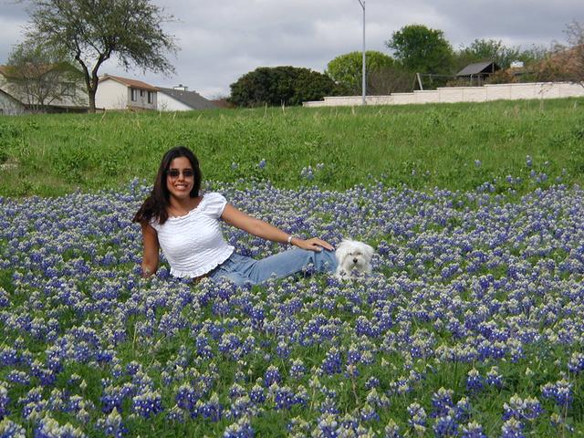 2002/03(March)/Bluebonnets/P3310007.JPG