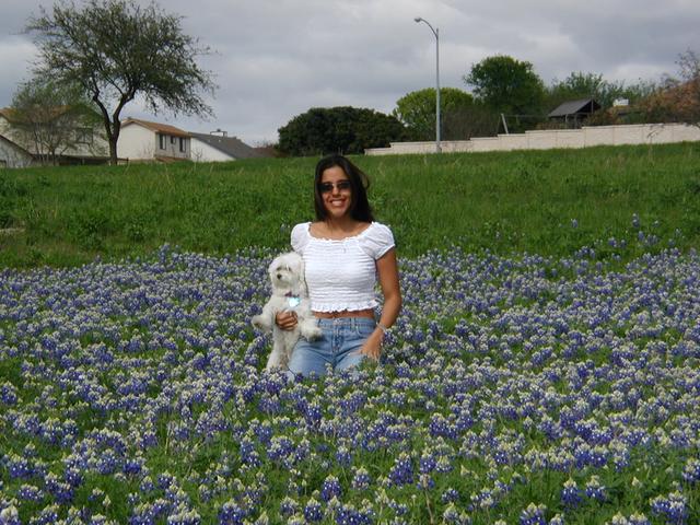2002/03(March)/Bluebonnets/640x480_P3310008.JPG