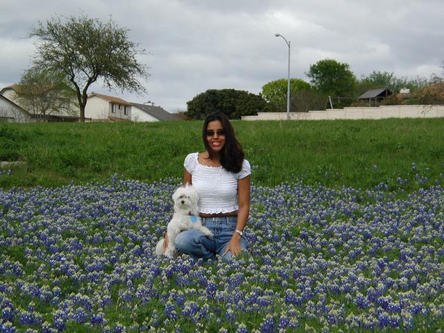 2002/03(March)/Bluebonnets/640x480_P3310009.JPG