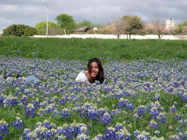 2002/03(March)/Bluebonnets/640x480_P3310013.JPG