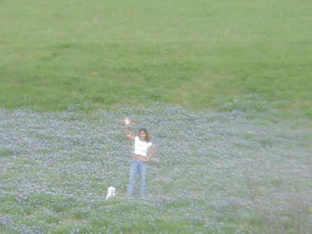 2002/03(March)/Bluebonnets/640x480_P3310035.JPG