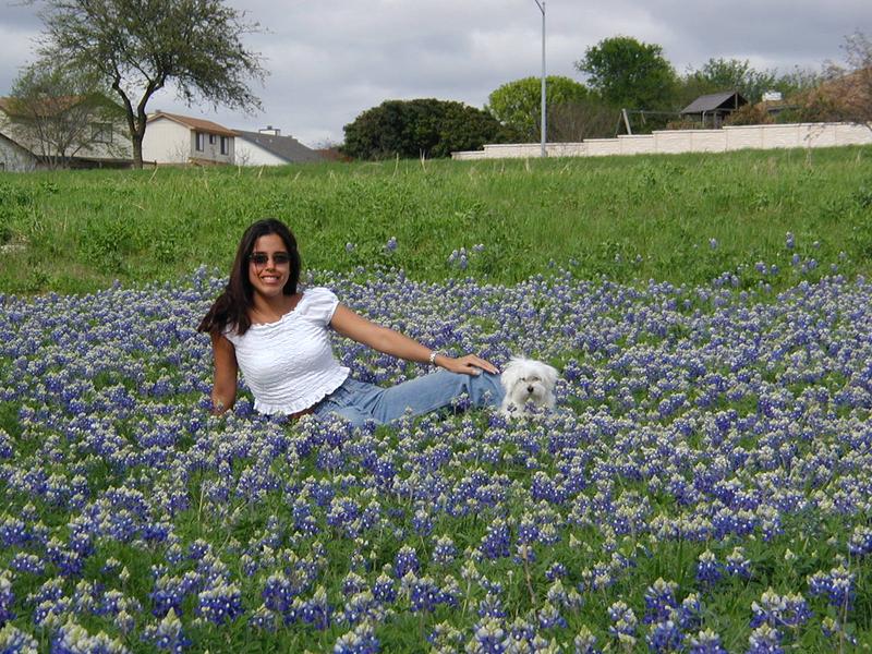 2002/03(March)/Bluebonnets/800x600_P3310007.JPG