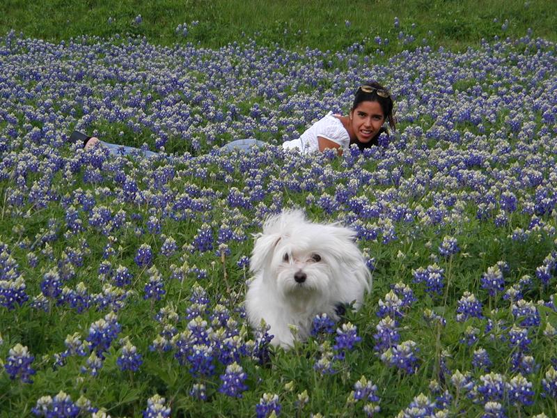 2002/03(March)/Bluebonnets/800x600_P3310012.JPG