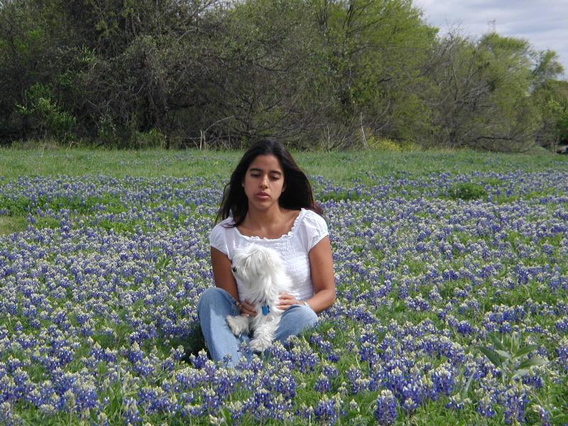 2002/03(March)/Bluebonnets/800x600_P3310021.JPG