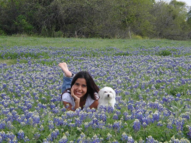 2002/03(March)/Bluebonnets/800x600_P3310025.JPG