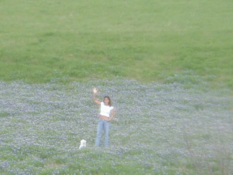 2002/03(March)/Bluebonnets/800x600_P3310035.JPG