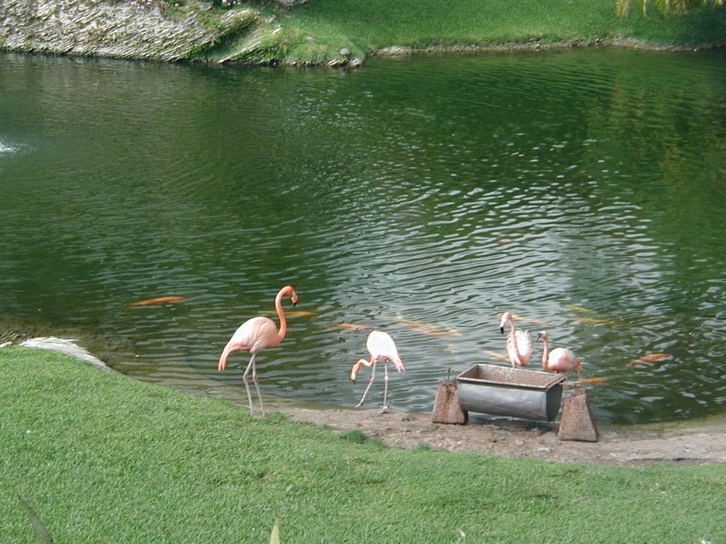 2002/03(March)/Florida-Trip/1024x768_P3220026.JPG