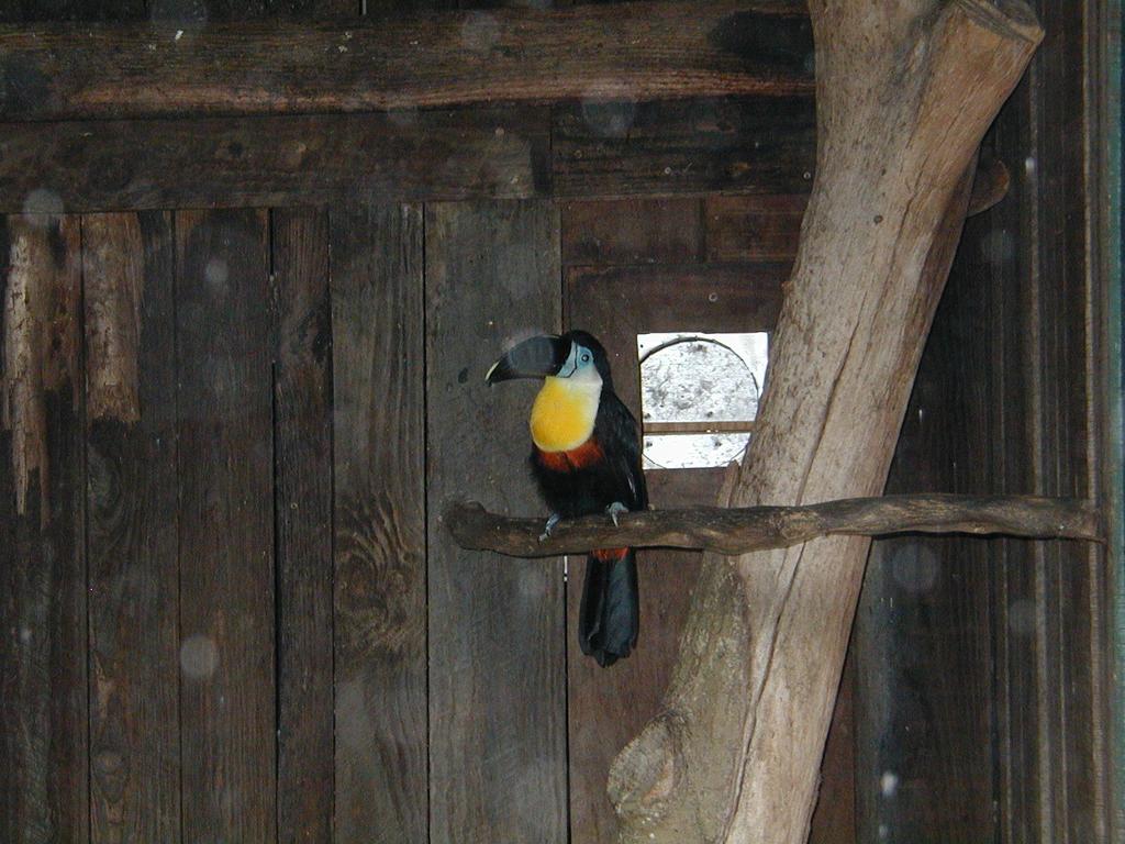 2002/03(March)/Florida-Trip/1024x768_P3220040.JPG
