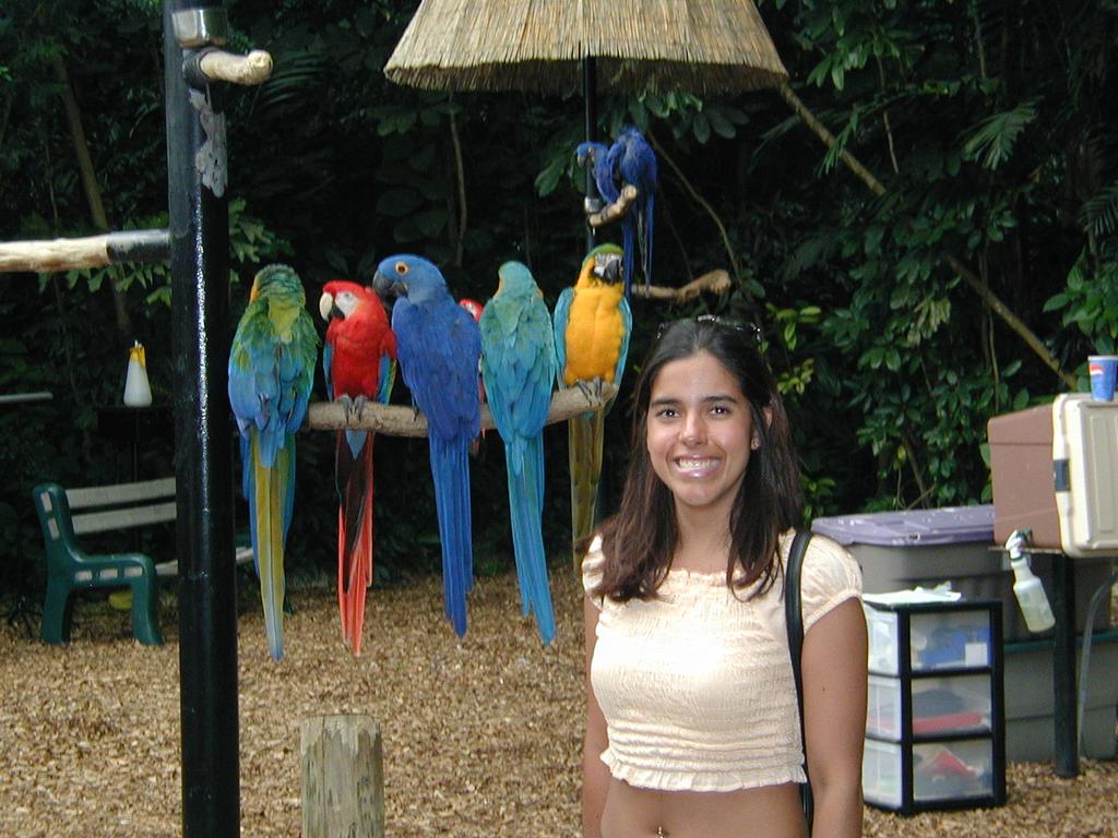 2002/03(March)/Florida-Trip/1024x768_P3220080.JPG
