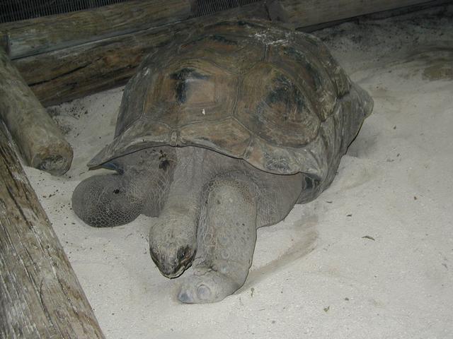 2002/03(March)/Florida-Trip/640x480_P3220025.JPG