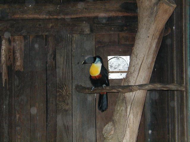 2002/03(March)/Florida-Trip/640x480_P3220040.JPG