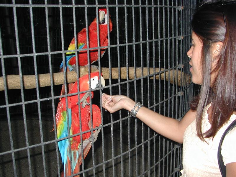 2002/03(March)/Florida-Trip/800x600_P3220082.JPG