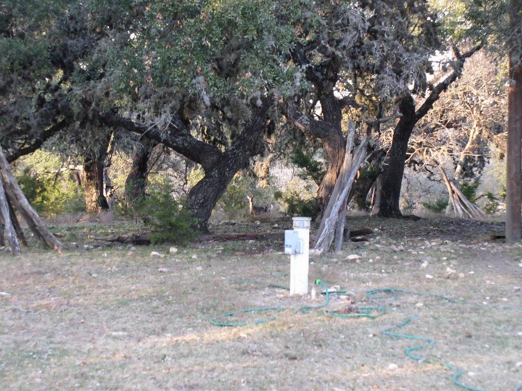 2002/12(December)/Christmas-Proposal/1024x768_F0000004.JPG