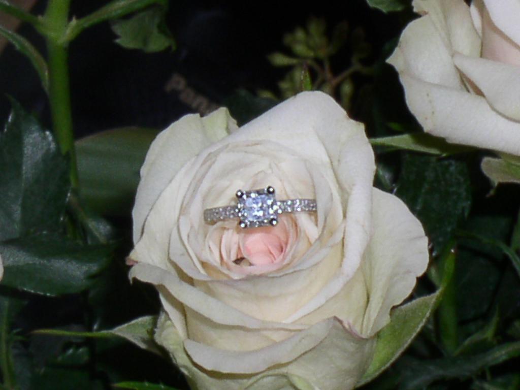 2002/12(December)/Christmas-Proposal/1024x768_PC250017.JPG